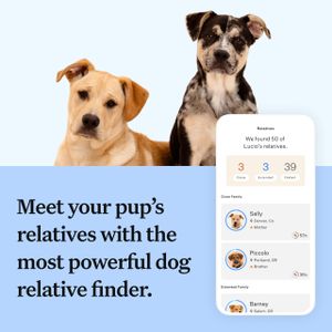 Wisdom Panel Dog DNA Test – Breed & Health Screening Kit
