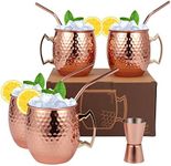 Moscow Mule Mugs Set of 9-20oz Hammered Moscow Mule Mugs Drinking Cup 304 Stainless Steel with 4 Straws-1 Jigger-Great Dining Entertaining bar Gift Set Mug Set of 4 (double jigger included)