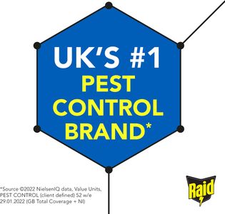 Raid Ant & Cockroach Killer Spray, Indoor Insect Control, 6 x 300ml