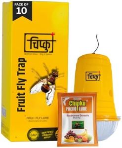 Chipku Fly