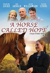 Horse Movies