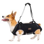 RIXBEO Dog Lift Harness, Pet Support & Rehabilitation Sling Lift Adjustable Padded Breathable Straps Dog Lift Harness for Senior Dogs, Disabled, Joint Injuries, Arthritis, Loss of Stability Dogs Walk