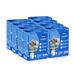 DIGNITY Premium Pant Style Adult Diapers - M (80 Pieces) With Wetness Indicator and Leakage Protection Upto 10-12 Hrs.