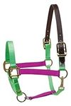 Perri's Safety Halter, Lime/Raspberry, Horse