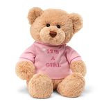 Enesco Its A Girl 7.5" Bear Plush