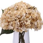 Kimura's Cabin 6pcs White Silk Hydrangea Flowers Bouquets Faux Hydrangea Stems for Home Wedding Party Table Core Decoration (Ivory)