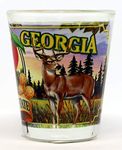 Georgia State Mural Shot Glass