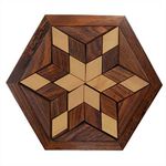 STAR CRAFT Wooden Jigsaw Puzzle Game Wooden Toys/Games for Kids Travel Games for Families Unique Gifts for Children Indoor Outdoor Board Games (SHAKARPARA 2)