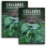 Survival Garden Seeds - Georgia Southern Collards Seed for Planting - Pack with Instructions to Plant and Grow Healthy Collard Greens in Your Home Vegetable Garden - Non-GMO Heirloom Variety - 2 Packs