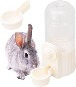 Rabbit Wat