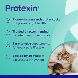 Protexin Pro-Kolin Digestive Paste for Pets, 15ml Syringe