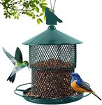 Squirrel Proof Bird Feeders For Outside