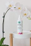 Premium Orchid Food Fertilizer Spray by Houseplant Resource Center - Grow Beautiful and Exotic Orchids with Ease - Ready-to-Use Custom NPK Ratio is The Perfectly Balanced Orchid Food and Won't Burn