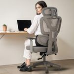 DROGO Premium Ergonomic Office Chair for Work from Home, High Back Computer Chair with Adjustable Seat, 3D Armrest, Rocking Function, 2D Headrest & Lumbar Support | Mesh Chair for Office/Home (Grey)