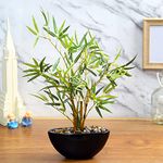 Fourwalls Artificial Bamboo Bonsai Plant in a Ceramic Pot for Home and Office Décor (199 Leafs, 38 cm Tall, Mixed Material, Green)