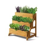 VegTrug 3-Tier Herb Planter Wood Raised Garden Bed Planter Kit for Plants, Herbs, Vegetables, Flowers I Outdoor/Indoor Gardening I 3-Level Tiered Vertical Garden Planters - W80cm × D54cm × H78cm