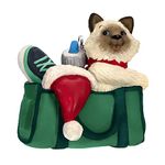 Hallmark Keepsake Christmas Ornament 2023, Mischievous Kittens, Cat Ornament, Pet Gifts