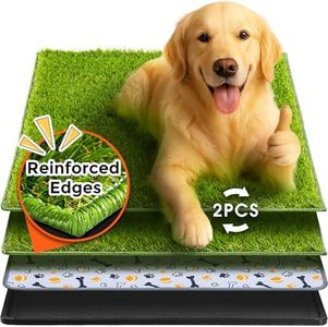 Hompet Dog