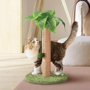 Cat Scratc