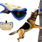 Bite Board, Dog Training Equipment Protective Sleeve Arm Protector For Left Right Hand Teething Cushion Training Young Dog Medium Size Dog Training Supplies Bite Cushion Arm Protection Dog Sports Toy