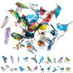 JALCH 80Pcs Fly Bird Stickers Clear Bird Stickers Decals for Kids Children, PET Bird Stickers Craft Stickers for Scrapbooking, Card,Laptop,Wall, Window (20 Styles, 1-2 Inch)