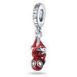 LIGHTDOG Alliance Charm fits Pandora Europe Bracelets,925 Sterling Silver Dangle Pendant Bead,Mother's Day Gift Girl Jewelry Beads for Women Bracelet&Necklace, Sterling Silver, Cubic Zirconia