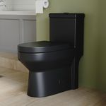 DeerValley 12" Rough-In Black One Piece Toilet for Bathroom 1.1/1.6 GPF Dual Flush Standard Bathroom Toilet with Soft-Closing and Quick-Release Seat DV-1F52812B