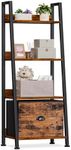 Furologee 4-Tier Ladder Shelf, Ladd