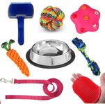 Aid Kit For Dogs