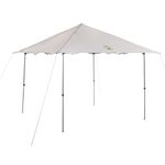 Coleman Instant Canopy