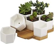 FLOWERPLUS Planter Pots Indoor, 7 Pack 2.75 Inch Modern White Ceramic Small Hex Succulent Cactus Flower Plant Pot with Bamboo Tray for Indoors Outdoor Office Home Garden Kitchen Decor (Hexagon)