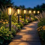Solar Pathway Lights Outdoor 8 Pack, 3000K Solar Path Lights,Solar Lights Outdoor Waterproof Stainless Steel Landscape Path Lights Auto On/Off, Solar Garden Lights for Walkway Yard Driveway Patio