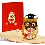 Cool and Unique 3D Pop Up Congratulations Card on Passing the Exams, Bachelor's or Master's Degree, Doctorate, Humorous Birthday Card for Nerd, Hipster, Graduation Card, Wise Owl, Graduation Cap, C16