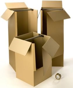 Kit carton