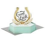 Hallmark Paper Wonder Pop Up Graduation Card or Retirement Card (Good Luck Horseshoe)