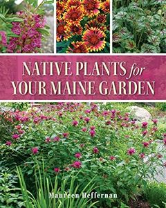 Native Plants for Your Maine Garden