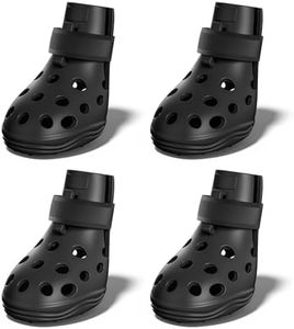 Dog Shoes