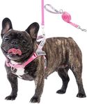 Wuffley Dog Harness and Lead Set, No Pull Harness for Dogs, Anti Pull Harness with Handle and 2 Patches, Reflective Lightweight Pet Harness for Outdoor Training Walking and Running (Pink, S)