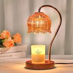 Flower Candle Warmer Lamp with Timer, Dimmable Candle Lamp Warmer for Jar Candles, Birthday Gifts for Women, Mom Gifts, Female Friend Gifts Ideas, Lamp Candle Warmer for Vintage Home Decor, Amber