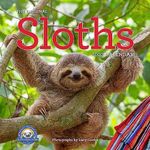 Original Sloths Wall Calendar 2023:
