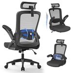 Office Chair For Lower Back Pains