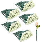 150 Pcs Floral Water Tubes Plastic Green Floral Tubes with Rubber Caps Fresh Flower Water Tubes Flower Tubes Flower Arrangements Supplies for Bouquet Stem Supplies, 6 Inches