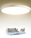 Flush Mount Ceiling Light For Basement