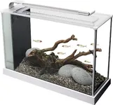 Fluval Spec V Aquarium Kit, 5-Gallo