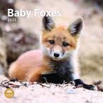 2025 Baby Foxes Monthly Wall Calendar by Bright Day, 12 x 12 Inch Cute Nature Photography Gift