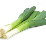 Winter Vegetable Plants - Leek 'Jolant' - 12 x Plug Plant Pack - Garden Plants - Leek Plants - Leek Plug Plants - Plug Plants - Leeks - Garden Ready + Ready to Plant - Premium Quality Plants