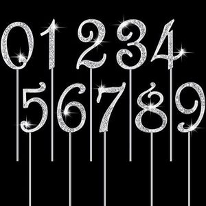 Numbers 0-9 Cake Topper Mini Diamond Gems Birthday Cake Toppers Bling Rhinestone Cake Topper Birthday Party Decoration for Wedding Anniversary Birthday Cake Decorations Keepsake, Set of 10(Silver)