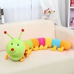 Caterpillar Beach Toys