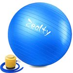 zeatly Yoga Ball (ball55)