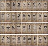 KIMOBER 144PCS Halloween Bottle Labels, Assoeted Vintage Laminated Animal Apothecary Potion Bottles Stickers for Halloween Party Supplies Photo Props